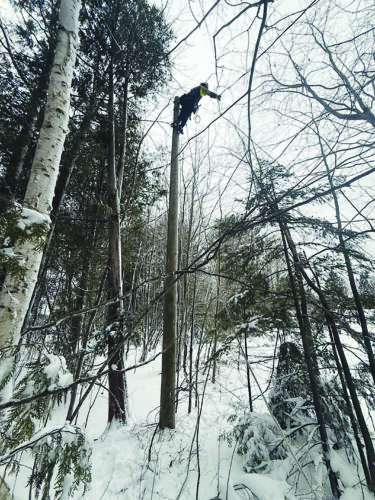 Effects of storm still felt